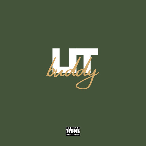 SwizzBlicky - LitBuddy