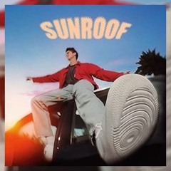 TWINSICK x Nicky Youre x Florence + The Machine - Sunroof x Dog Days Are Over (Myles Thomas Edit)