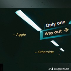 Aggie X Otherside (prod by JustDan Beats)