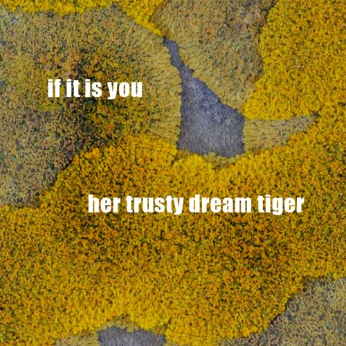 If It Is You by Her Trusty Dream Tiger ft. lemonade
