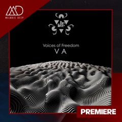 PREMIERE: Roj - Voices From Eternity (Original Mix) [Be Free Recordings]