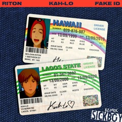 Riton & Kah - Lo - Fake ID(Alflako Remix)
