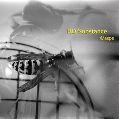 SUB_tl 078_Hd Substance_Wasps