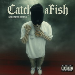 Catch A Fish