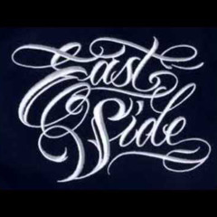 Shadow - lets go for a ride