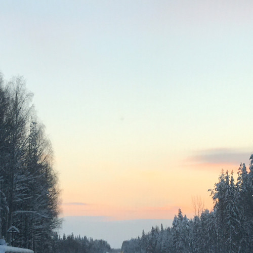 Ari - Babydoll Speed