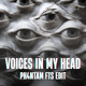 on VOICES IN MY HEAD (PH4NTAM FTS HARDSTYLE EDIT) [FREE DOWNLOAD]