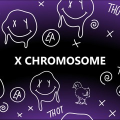 X Chromosome