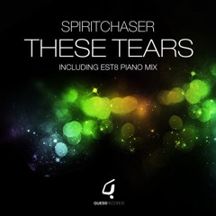 Spiritchaser - These Tears (Dj Ceolato Remix)