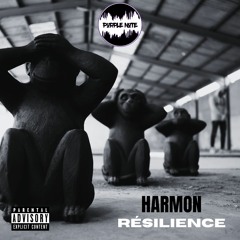 Echapée Belle - Harmon (Résilience)