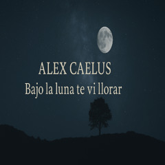 Bajo la luna te vi llorar