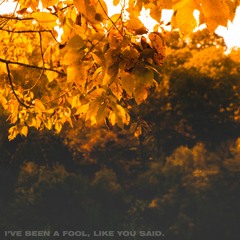 I've been a fool, like you said.