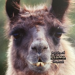 Llama..