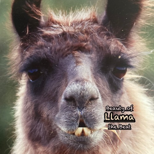 Llama..