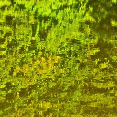 FavTracks 08/2021
