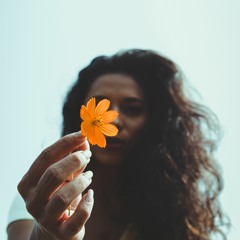 Wildflower