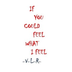 If you could feel what I feel