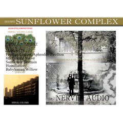 Sunflower Domain