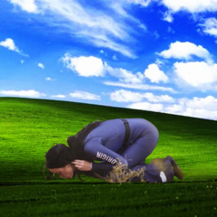 certified chud classic