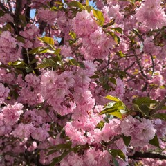 Save The Night (prod. TearsAllDried)