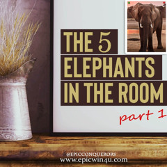 5 Elephants in the Room - part 1