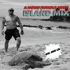 A Honu Island Mix - DJ Mike Digz