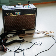 Delfiner i Cowboyboots