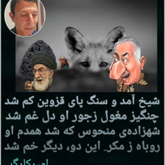 Radio Irava Nov 16, 2025 with Mr. Esmail Mohades