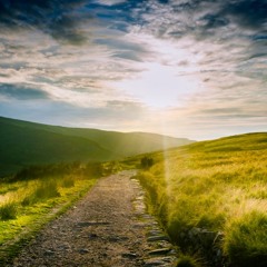 The Medicine Of The Dharma Meditation — Jack Kornfield