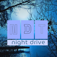 night drive