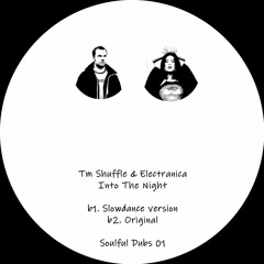 PREMIERE: TM Shuffle & Electranica - Into The Night