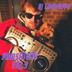 DJ Chillpuppy presents Pawsitivity Vol. 3