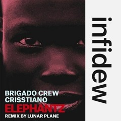 Brigado Crew & Crisstiano & infidew Feat Haptic - Burning (slow and reverb)