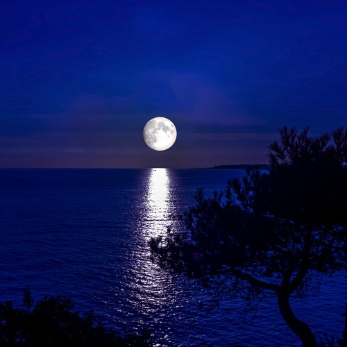 luna d'estate : by. Juan José Hincapié. 🔮