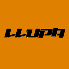 Disc Breaks with Llupa - 144 - ft. tOOK - 02/12/10 - www.nsbradio.co.uk