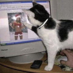 x-mas bad bitch ft. chzter