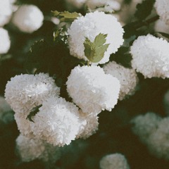 If not now, then when