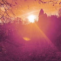 the turtle and the dove