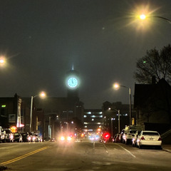 a midnight squash harvest (july 2024)