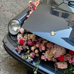 Miniset Christmas Luxury Vol 3 | Dinh Nguyen |