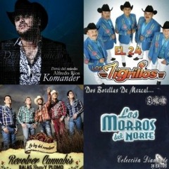 mexican musica (Quackity's org Spotify)