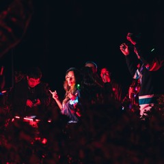 endless summer - melodic cosmic