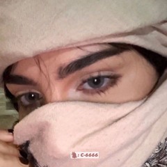 كامل يوسف ✈️ فادي اليونس 2011 حزب تكساس