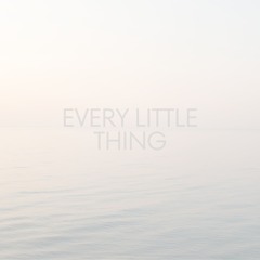Every Little Thing