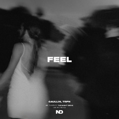 Gaullin, TRFN - Feel