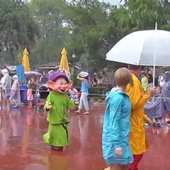 Best Things To Do In Orlando If It Rains Tours Reviews