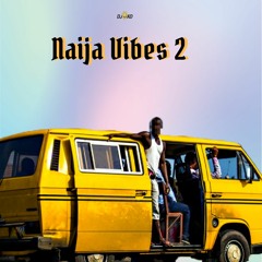 Naija Vibes 2.0