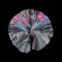 Closer In The Back Room (Original Mix)