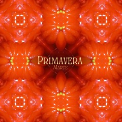 Primavera (Original Mix) [100]
