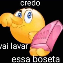 CAVUCADA - PUCCATSUNAMI & MC GORDÃO 011 (DJ'S GUXTHA & TF)